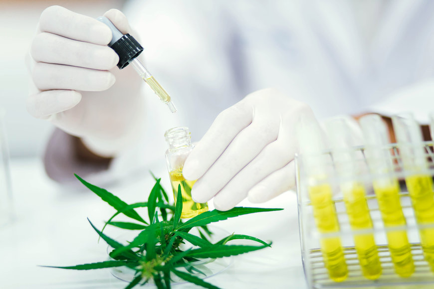 De Dietrich Process Systems bietet schlüsselfertige Anlagen für die CBD- und THC-Extraktion